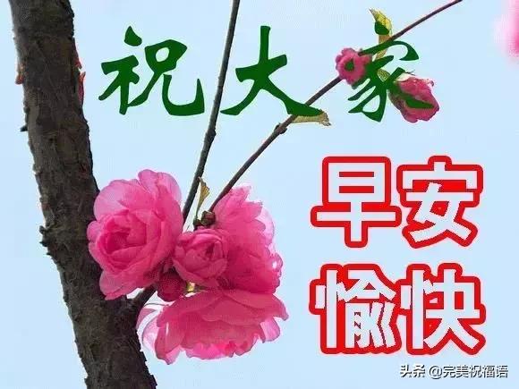 子衿悠悠@早上好最新版阳光暖心的祝福语录带图片