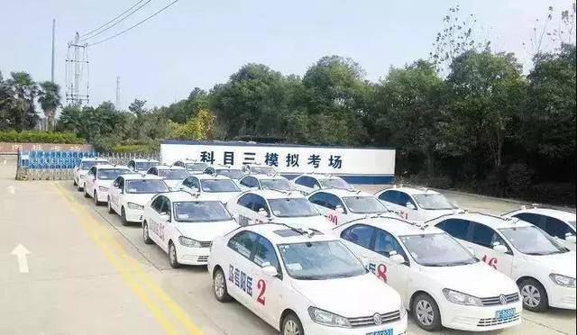 「育儿甜恬」为什么有些学员科目三老是考不过？教你几招，学会通过率提高一倍