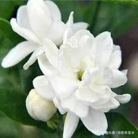 治愈系美女@感悟人生的心灵鸡汤,触动人心,让人一看就喜欢