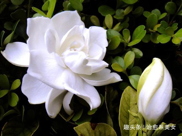 [治愈系美女]12个发朋友圈经典好句,句句经典,深入人心