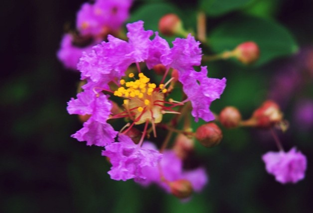 「你所想象不到的科技」非常不懂女人心的三个生肖，不太会讲话，从来不会主动