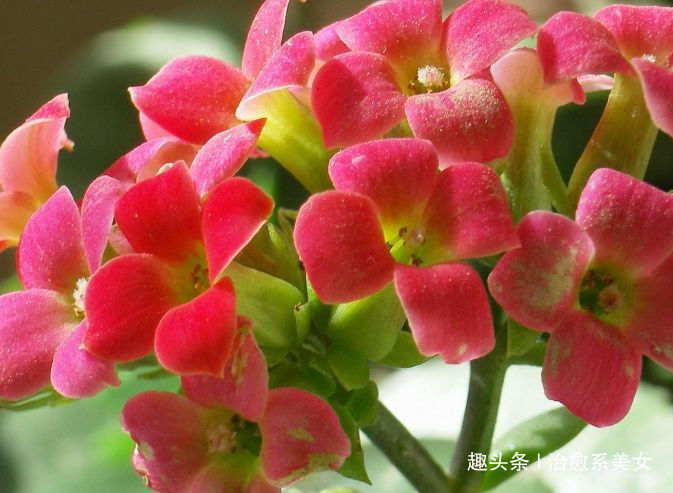 #治愈系美女#深入人心的精湛句子,经典走心,适合发朋友圈