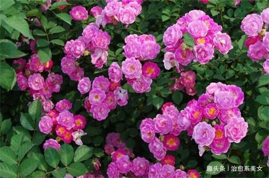 #治愈系美女#深入人心的精湛句子,经典走心,适合发朋友圈