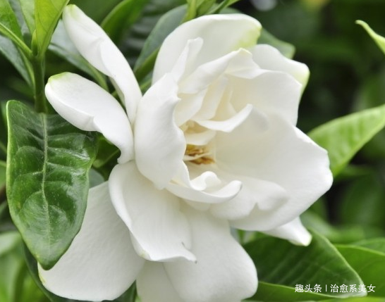 #治愈系美女#深入人心的精湛句子,经典走心,适合发朋友圈