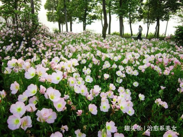 #治愈系美女#深入人心的精湛句子,经典走心,适合发朋友圈