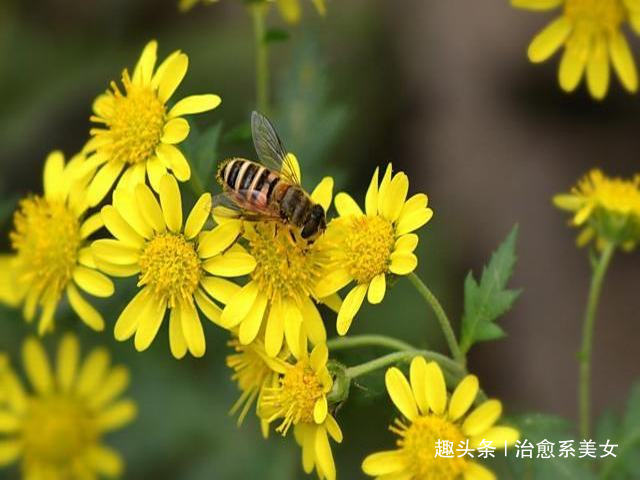 #治愈系美女#深入人心的精湛句子,经典走心,适合发朋友圈