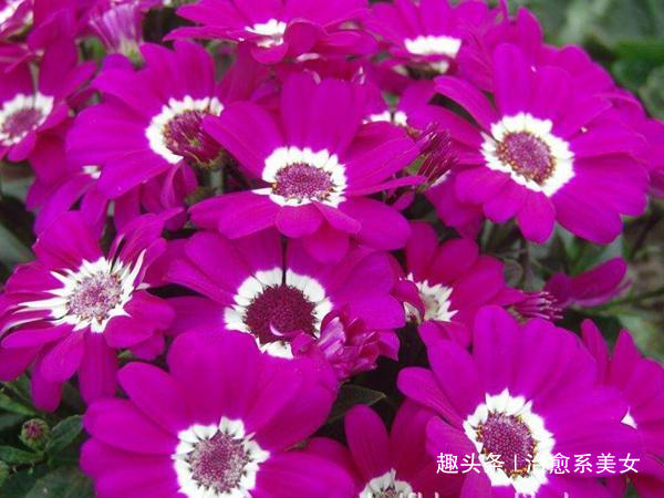 「治愈系美女」让人醒悟的经典语录,精辟励志,活出自我