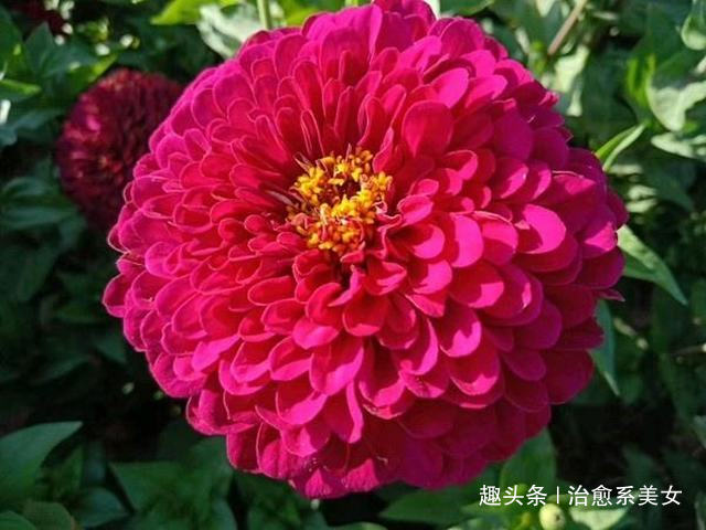 「治愈系美女」让人醒悟的经典语录,精辟励志,活出自我