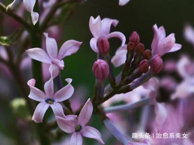 「治愈系美女」让人醒悟的经典语录,精辟励志,活出自我