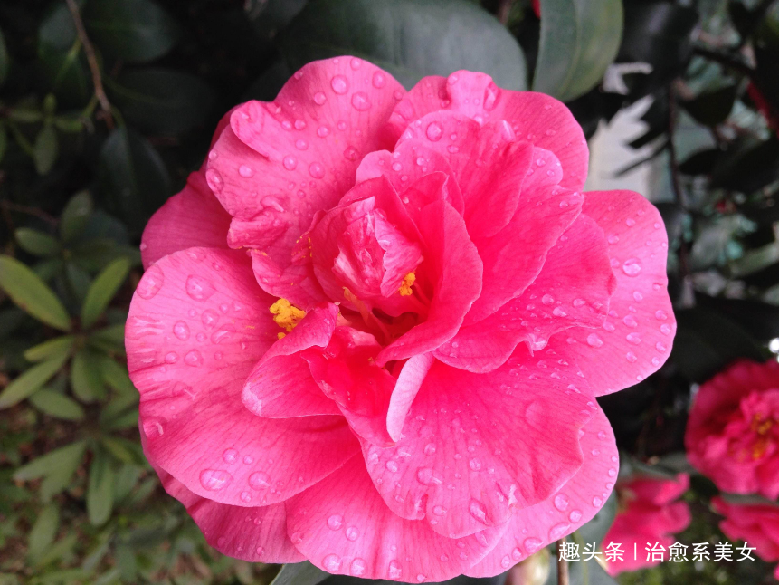 「治愈系美女」让人醒悟的经典语录,精辟励志,活出自我