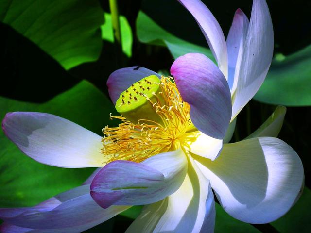 「小路音乐吧」耐人寻味的经典句子，精致走心，让人一读再读