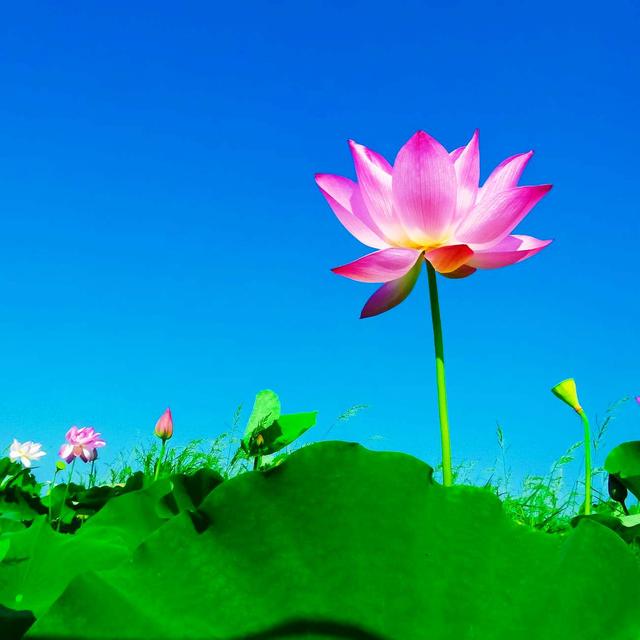 「小路音乐吧」耐人寻味的经典句子，精致走心，让人一读再读