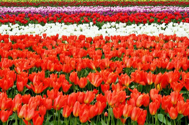 「小路音乐吧」耐人寻味的经典句子，精致走心，让人一读再读