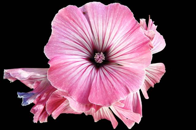 「小路音乐吧」耐人寻味的经典句子，精致走心，让人一读再读