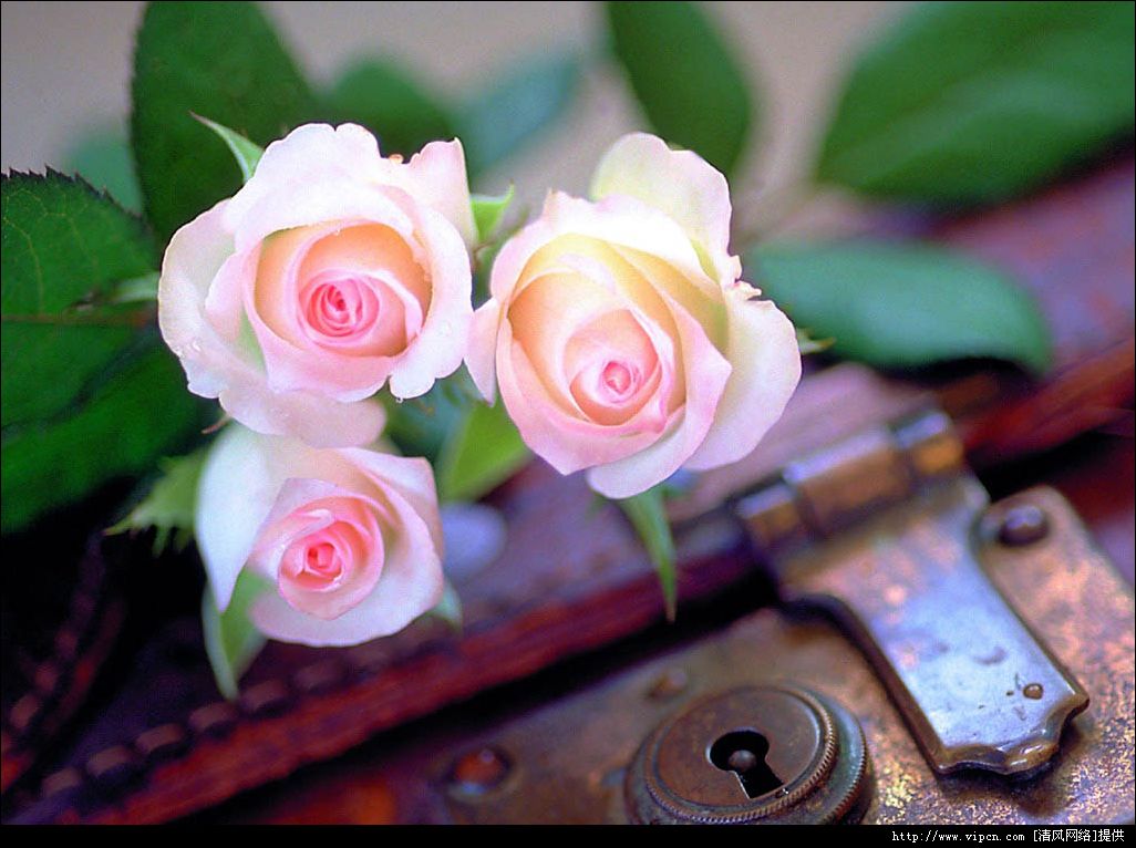 土豆躺沙发■认识自己，降伏自己，改变自己，才能改变别人。