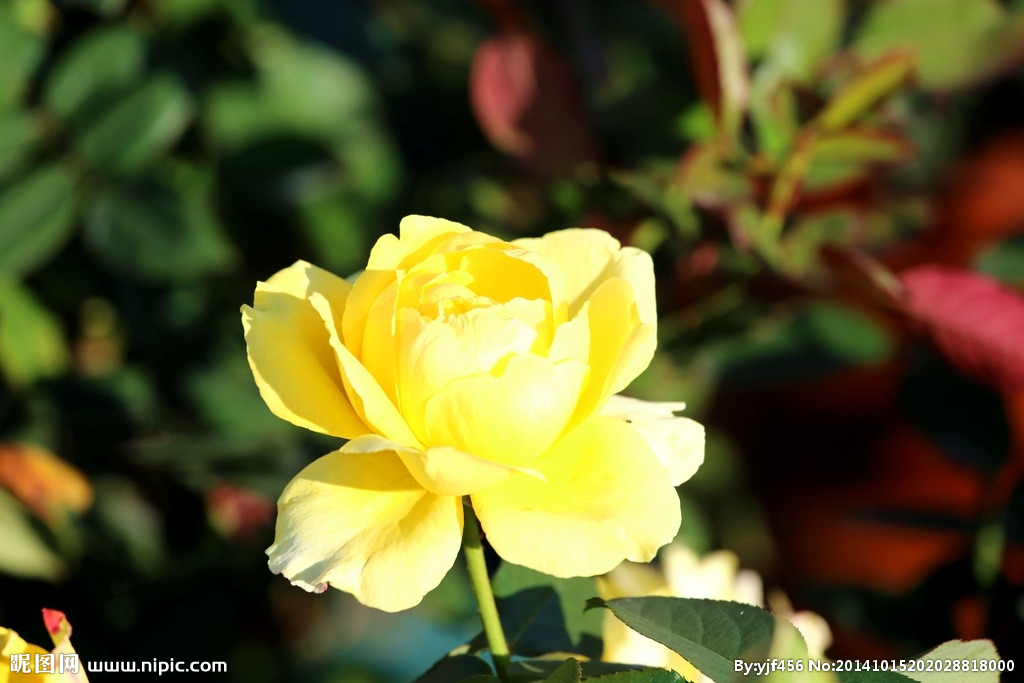 土豆躺沙发■认识自己，降伏自己，改变自己，才能改变别人。