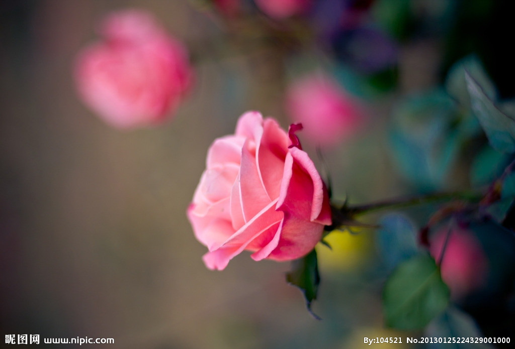 土豆躺沙发■认识自己，降伏自己，改变自己，才能改变别人。