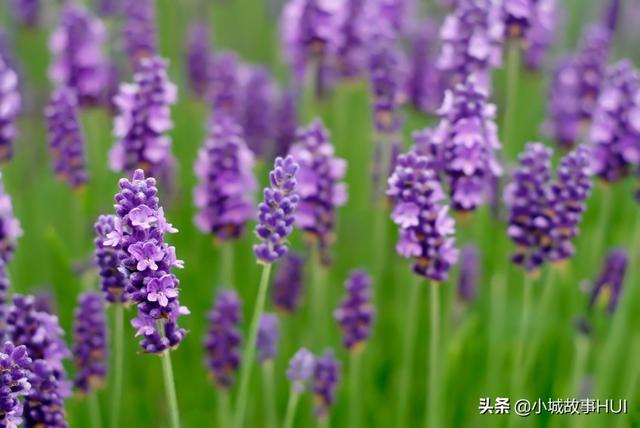 [老蒋书房]为什么现在的人过得都挺累，不是因为钱，而是这几个重要的原因