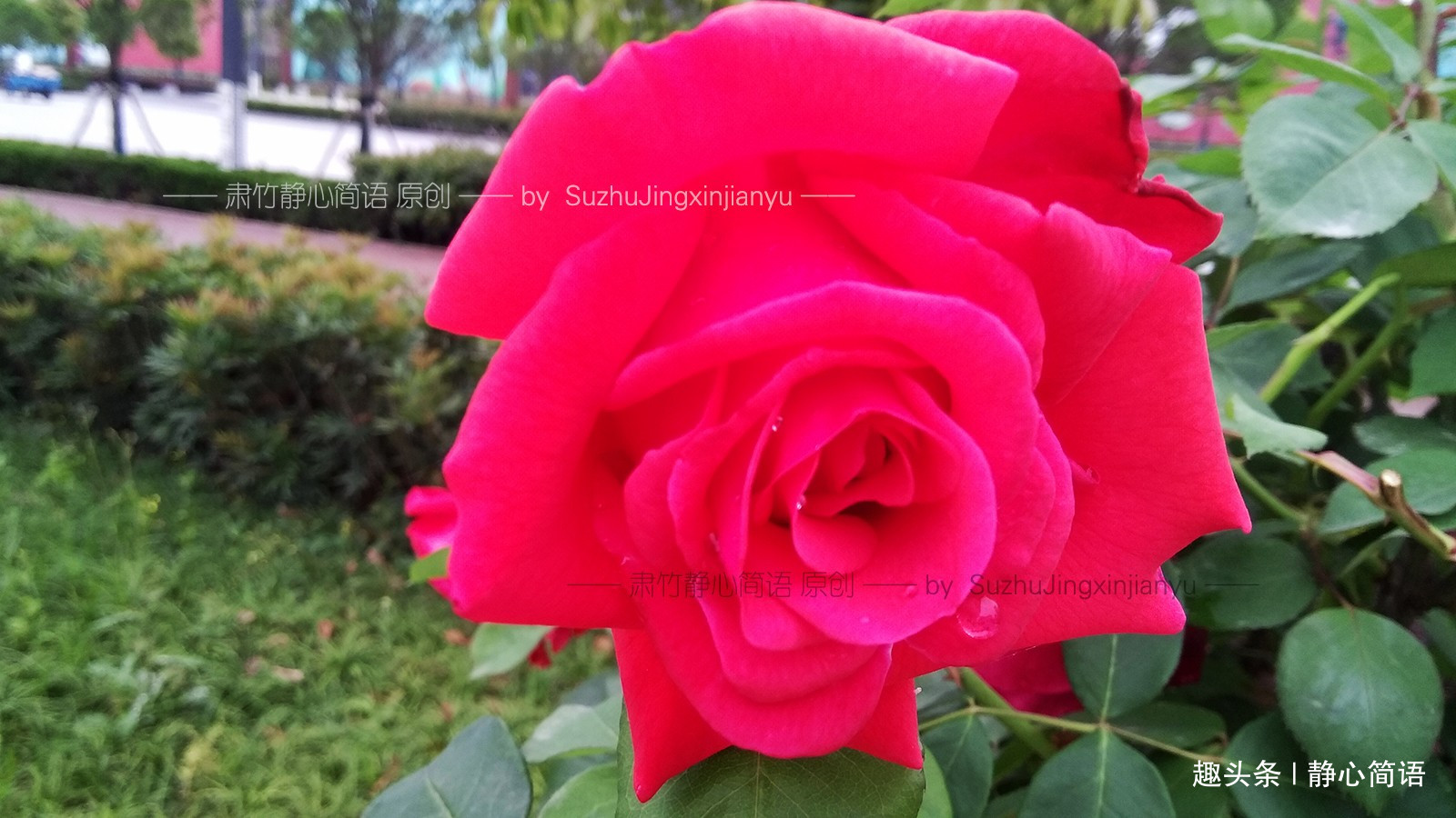 「静心简语」不在背后说人是非，但也要留一手来堵住别人的嘴