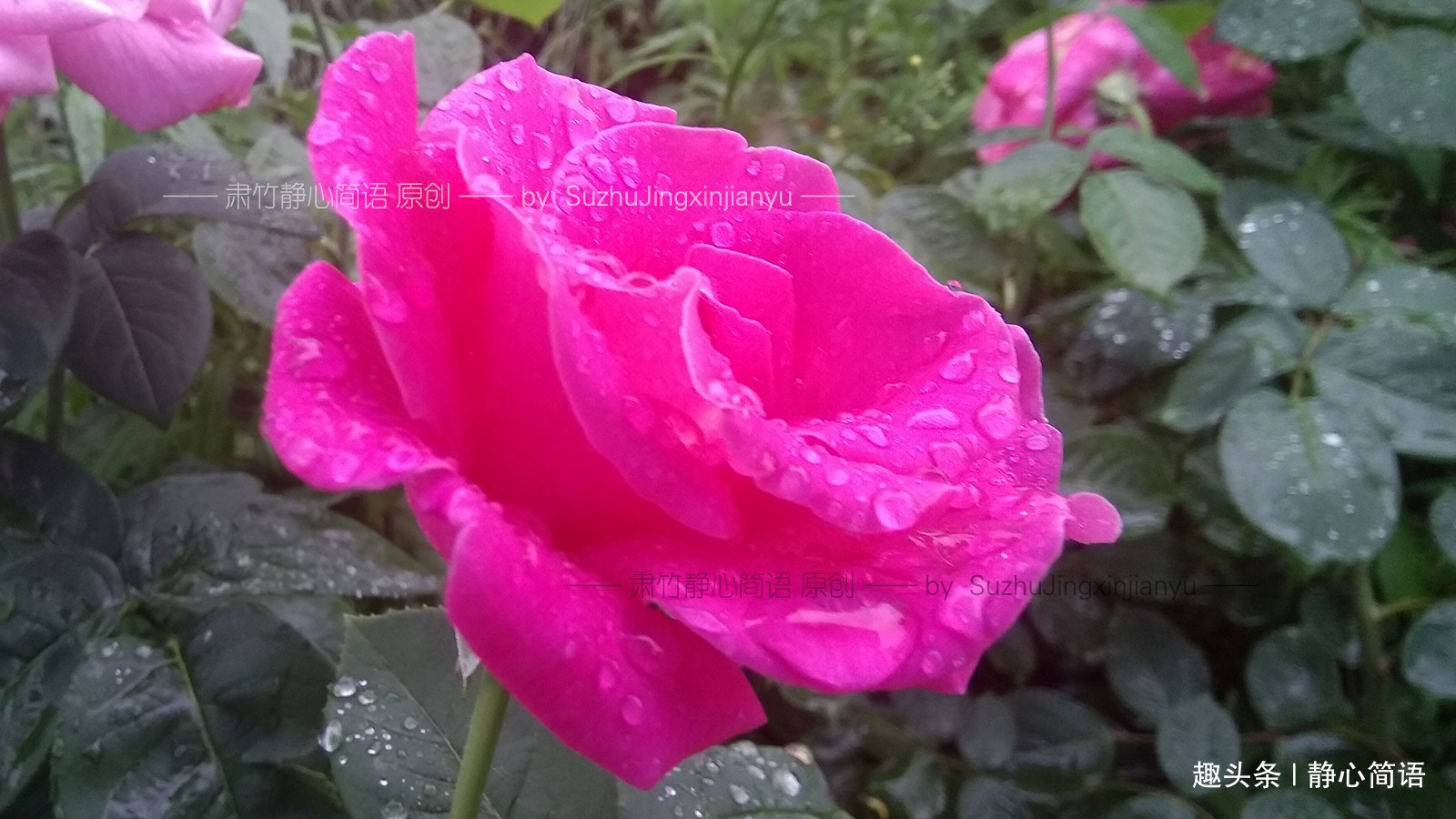 「静心简语」不在背后说人是非，但也要留一手来堵住别人的嘴