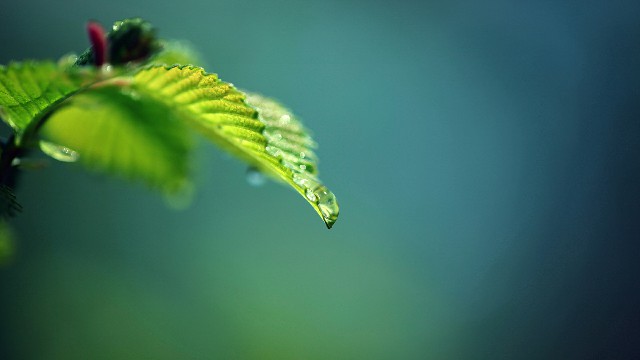 【爱的五线谱】朋友圈努力励志的句子，有深度有哲理，总结的很精辟