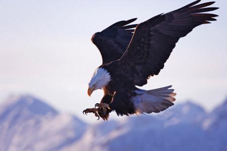 「谐头版」输在了起跑线，如何去超越？