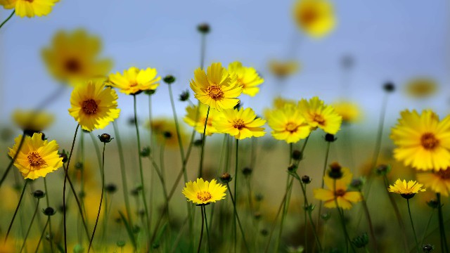 「谈时尚的嵘」几句很个性的签名句子，句句犀利扎心，总有一句说到你的心里