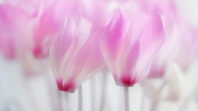 「谈时尚的嵘」几句很个性的签名句子，句句犀利扎心，总有一句说到你的心里