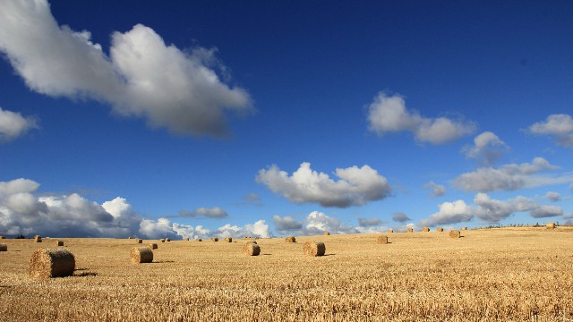 「谈时尚的嵘」几句很个性的签名句子，句句犀利扎心，总有一句说到你的心里