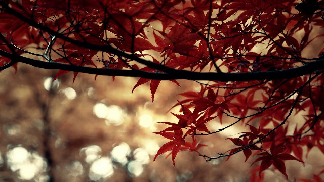 「谈时尚的嵘」几句很个性的签名句子，句句犀利扎心，总有一句说到你的心里