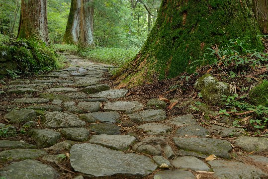 【讲时尚的三虎】最走心的情感经典句子，越读越窝心，送给正消极的你