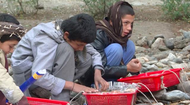 战争持续18年，阿富汗新一代青少年从一出生就只知道战争