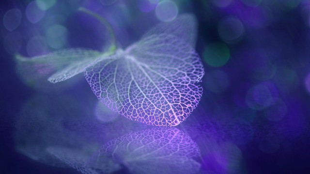 娱乐娴雅：青春阳光温暖的签名，字字诛心，哪一句让你感触最深