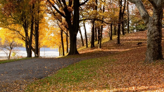 娱乐娴雅：青春阳光温暖的签名，字字诛心，哪一句让你感触最深