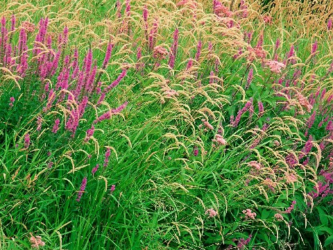 【娱乐娴雅】最简短的经典说说，经典透彻，哪一句说到了你心里