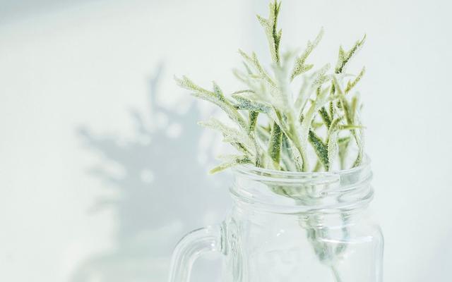 #美文鉴赏#放假回家第三天，我打包滚回了出租屋