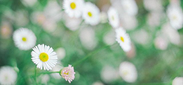 #美文鉴赏#放假回家第三天，我打包滚回了出租屋