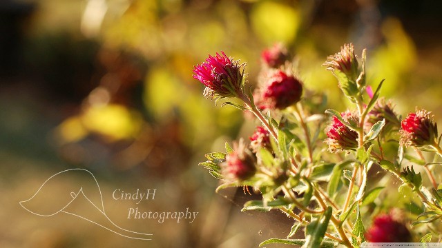 津榜谈情感：现实生活说说心情句子，简短励志，送给爱而不得的你