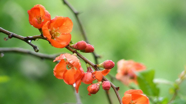 津榜谈情感：现实生活说说心情句子，简短励志，送给爱而不得的你