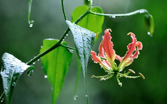 津榜谈情感■适合发说说的经典句子，简短洋气，送给心情失落的人