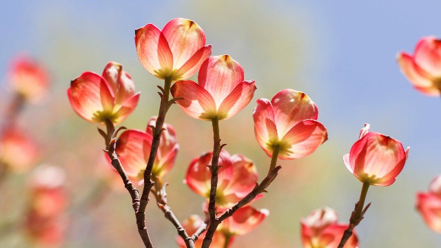 青源讲娱乐：人生感悟经典哲理语句，简短有气质，哪一句戳中你的心坎了