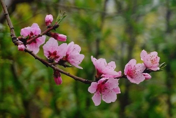 「天天励志正能量」生活简单就迷人，人心简单就幸福，哭也一天，笑也一天