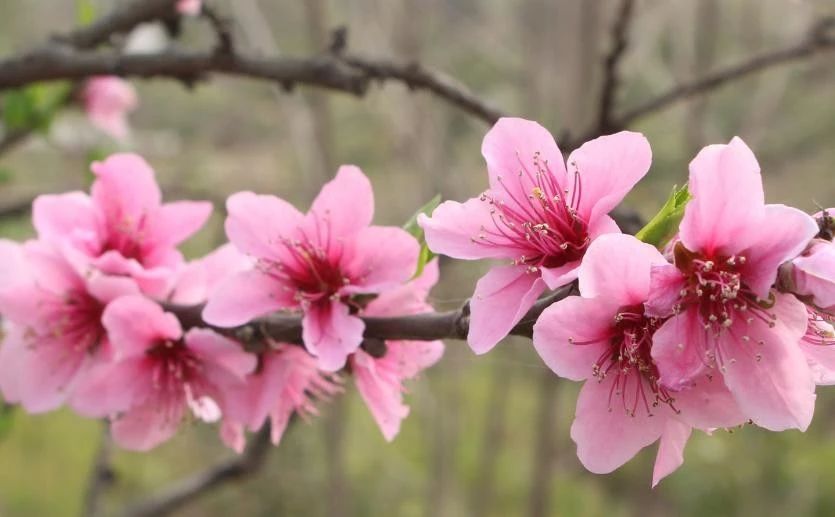 「天天励志正能量」自己喜欢的日子，就是最美的日子