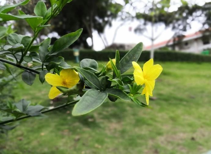 「天天励志正能量」自己喜欢的日子，就是最美的日子