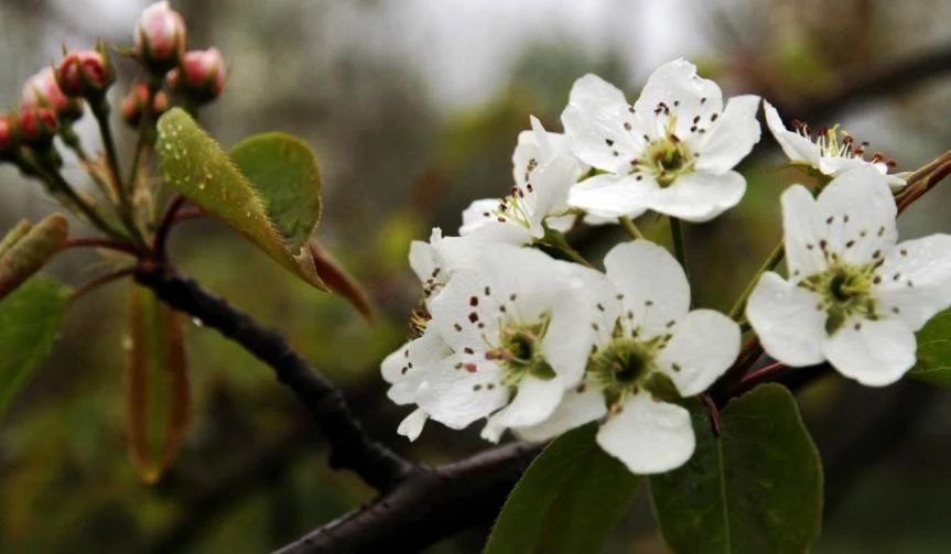 「天天励志正能量」自己喜欢的日子，就是最美的日子