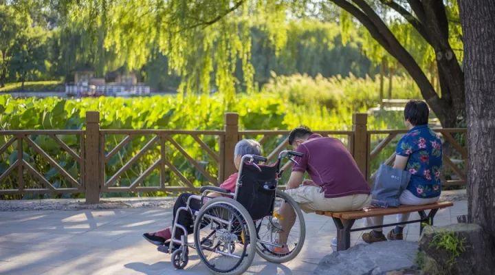 「西纳维思」少年不懂父母恩，懂时已是中年人！