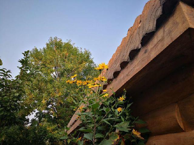 奎先达坂西@多年以后，为什么依然欣赏你