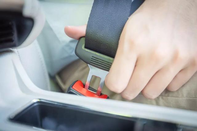 沧州晚报@紧急提醒！返程已开启倒计时！回程路上，这个小动作一定要做