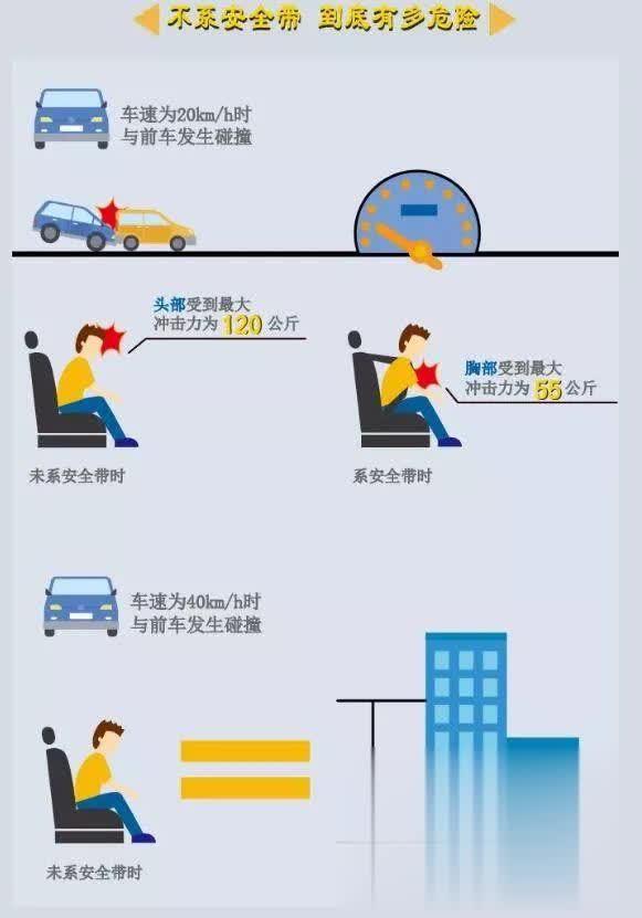 沧州晚报@紧急提醒！返程已开启倒计时！回程路上，这个小动作一定要做