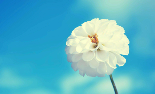 人生处世智慧@一个人将要发达起来了会出现这三个征兆，有一个也要恭喜了！